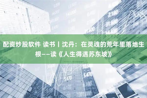 配资炒股软件 读书丨沈丹：在灵魂的荒年里落地生根——读《人生得遇苏东坡》
